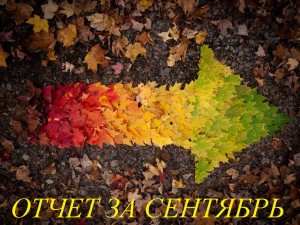 БФ «ТОЧКА ОПОРЫ» подводит итоги сентября