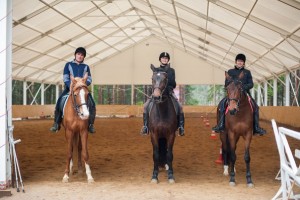 Помогите достроить конный манеж для паралимпийцев